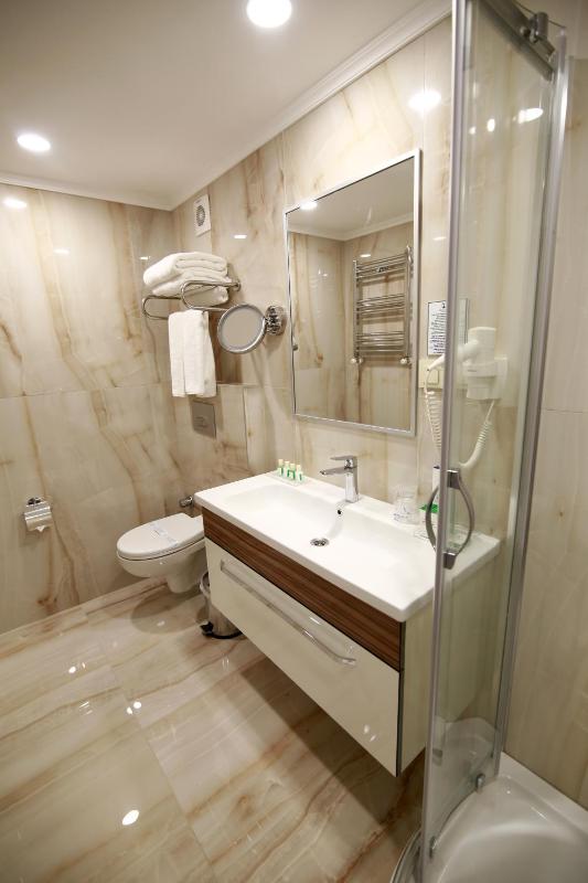 Deluxe Double or Twin Room image 3