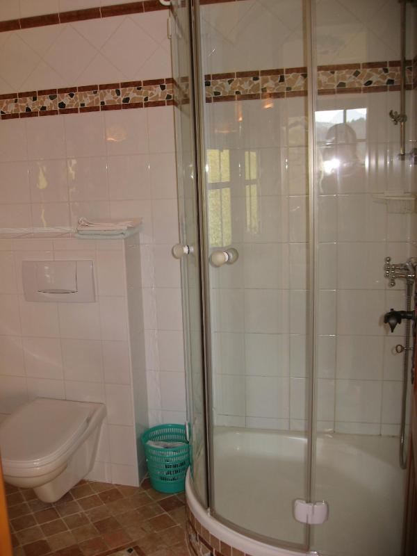 One-Bedroom Apartment with Balcony image 4
