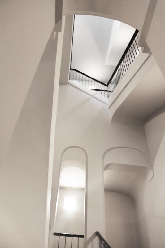 Rapanus Suites - image 7