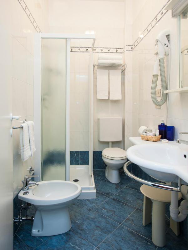 Double or Twin Room image 1