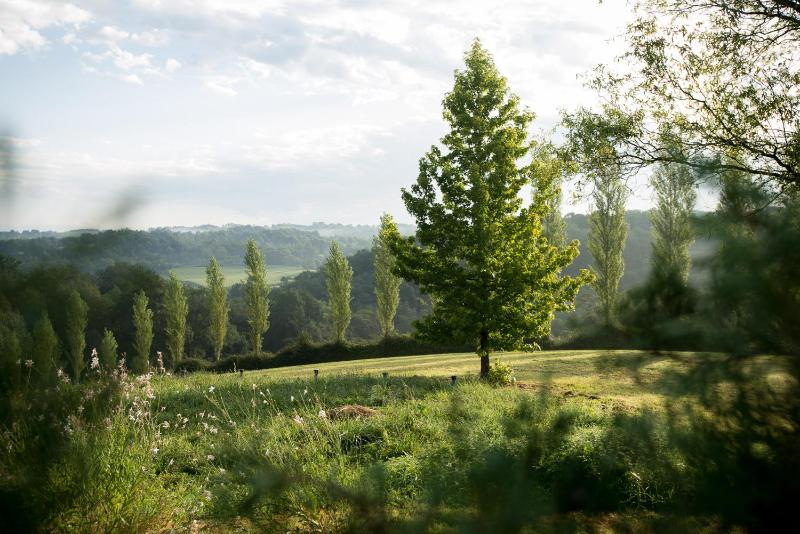 Deluxe Double or Twin Room with Garden View image 4