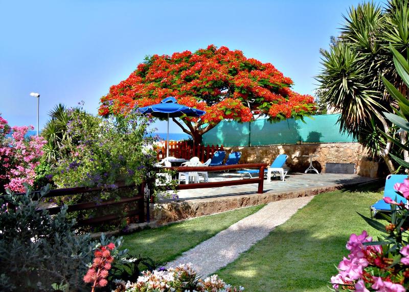 Rododafni Beach Apartments - image 8