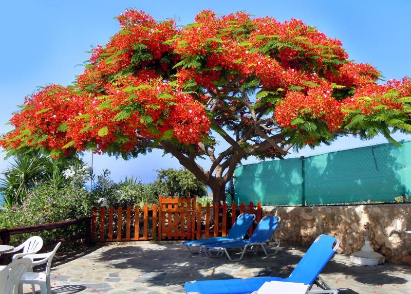 Rododafni Beach Apartments - image 14