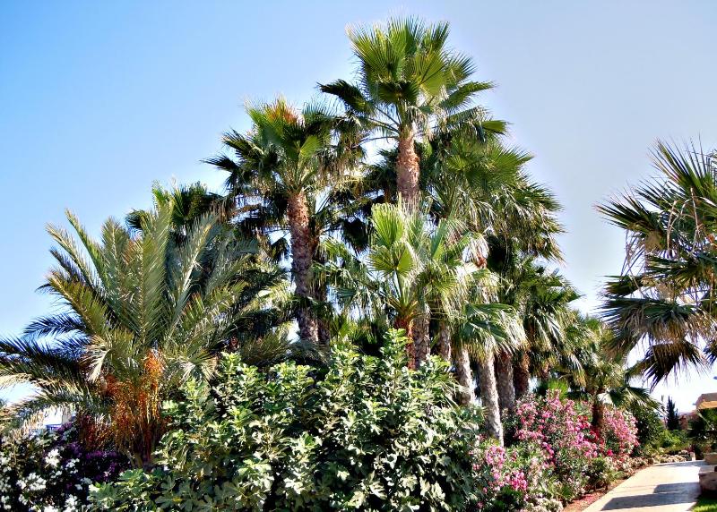Rododafni Beach Apartments - image 13
