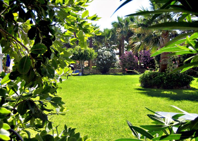 Rododafni Beach Apartments - image 7