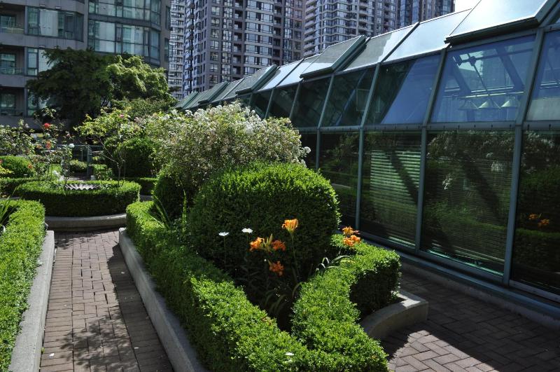 Rosedale On Robson Suite Hotel - image 4