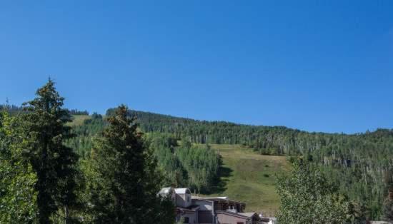 Five-Bedroom Apartment image 4