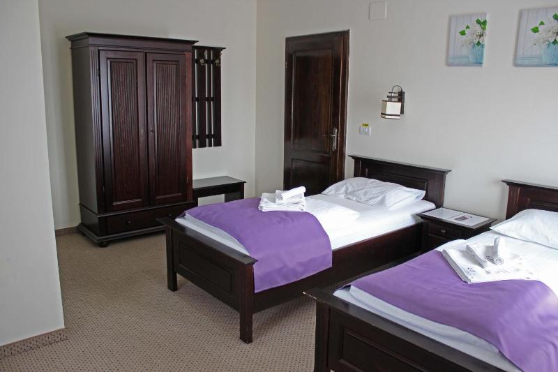 Pensiunea Casa Iorgovanul Urseni - image 20
