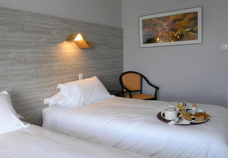 Double or Twin Room image 4