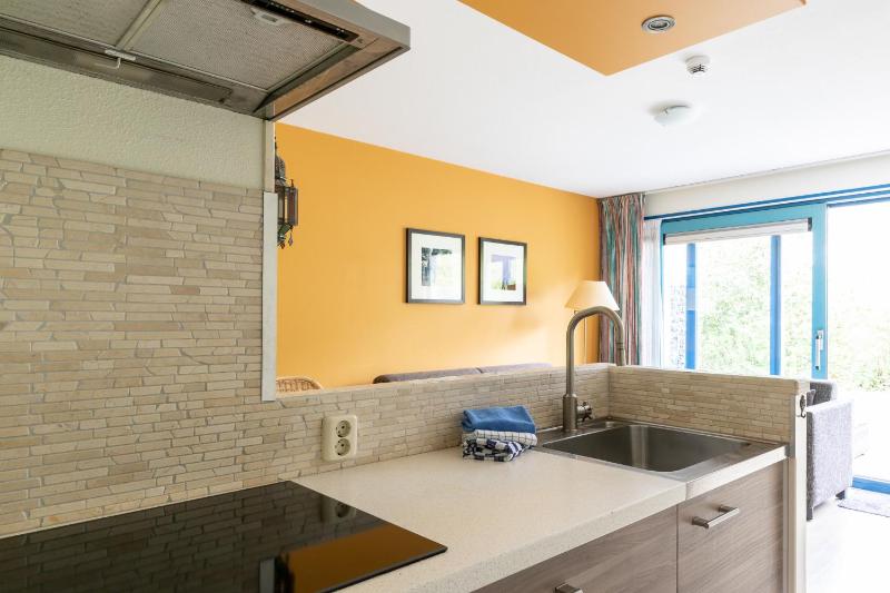 One-Bedroom Apartment image 4