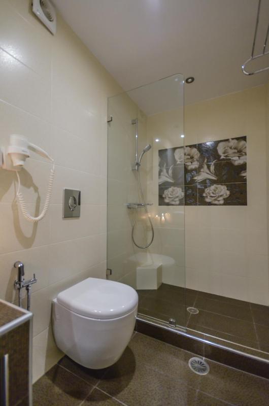 Semi-Basement Studio (3 adults) image 3