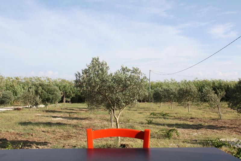 Agriturismo Agrimaccari Marzamemi-Vendicari - Esperienza autentica siciliana - image 11