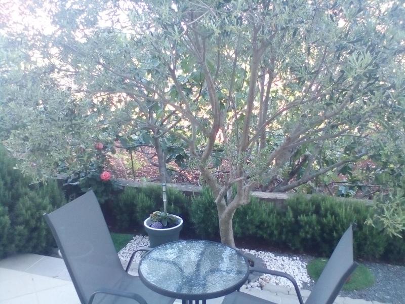 Comfort Double Room with Terrace image 2