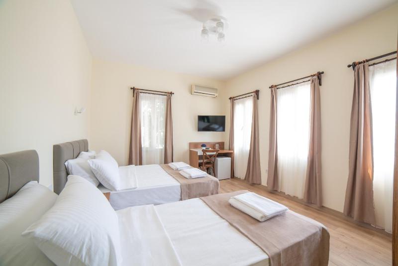 Deluxe Double or Twin Room image 4