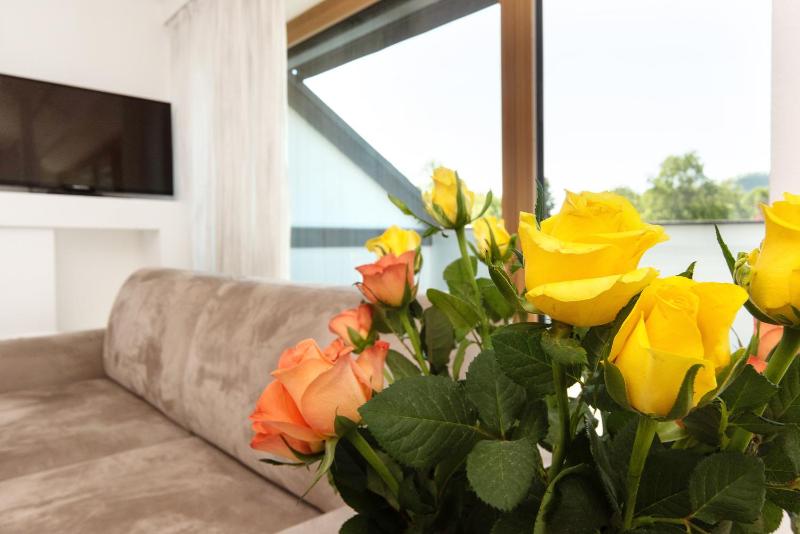 Penthouse Apartment image 4