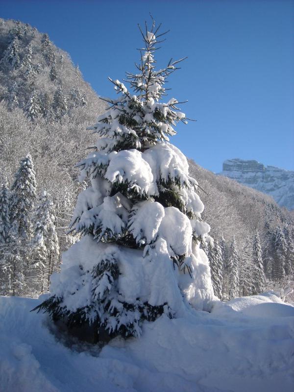 Two-Bedroom Apartment image 2