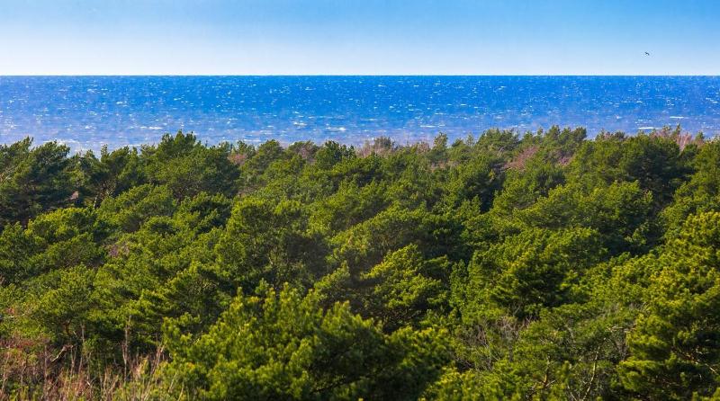 Palanga Sea View No 810 Apartment - image 30
