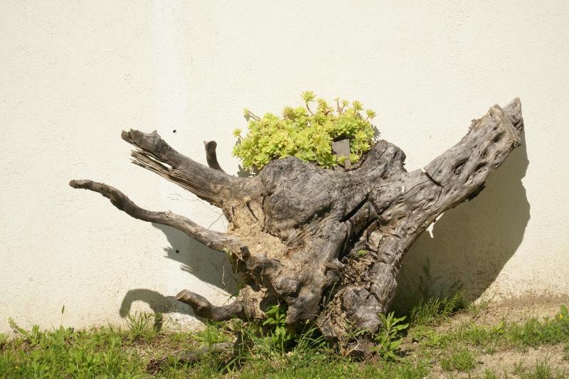 Villa Mily - image 24