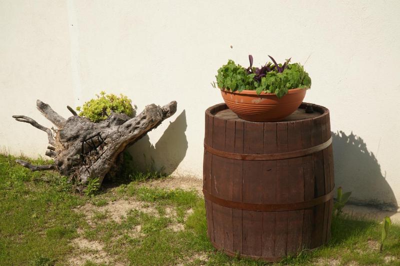 Villa Mily - image 35