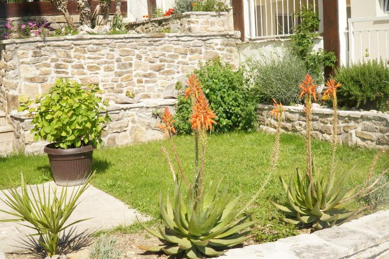 Villa Mily - image 19