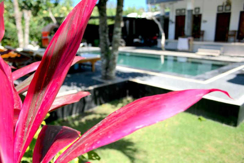 Uluwatu Made Guesthouse - image 4