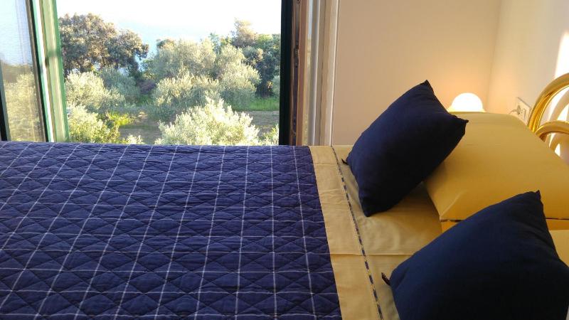 One-Bedroom Apartment image 4