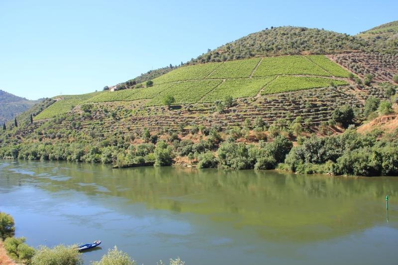 Twin Room with River View image 3