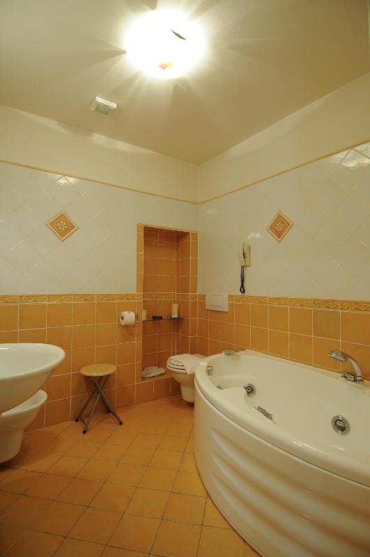 Deluxe Double Room image 4