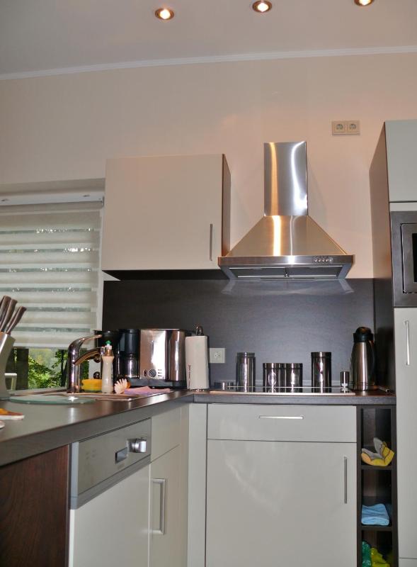 Comfort Apartment image 3