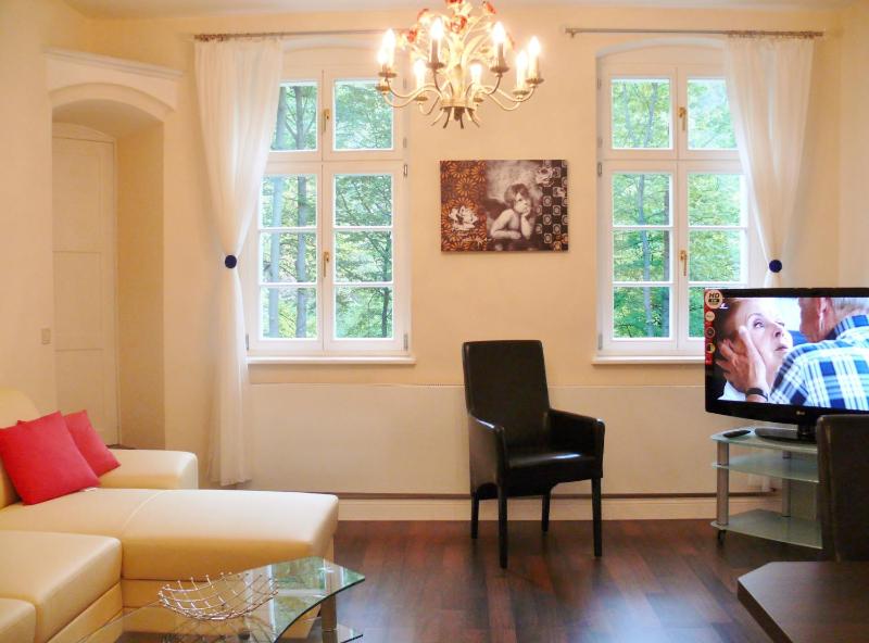 Deluxe Apartment image 4
