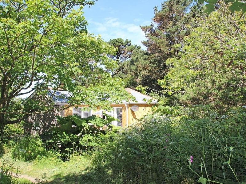 Cot Valley Cottage - image 7
