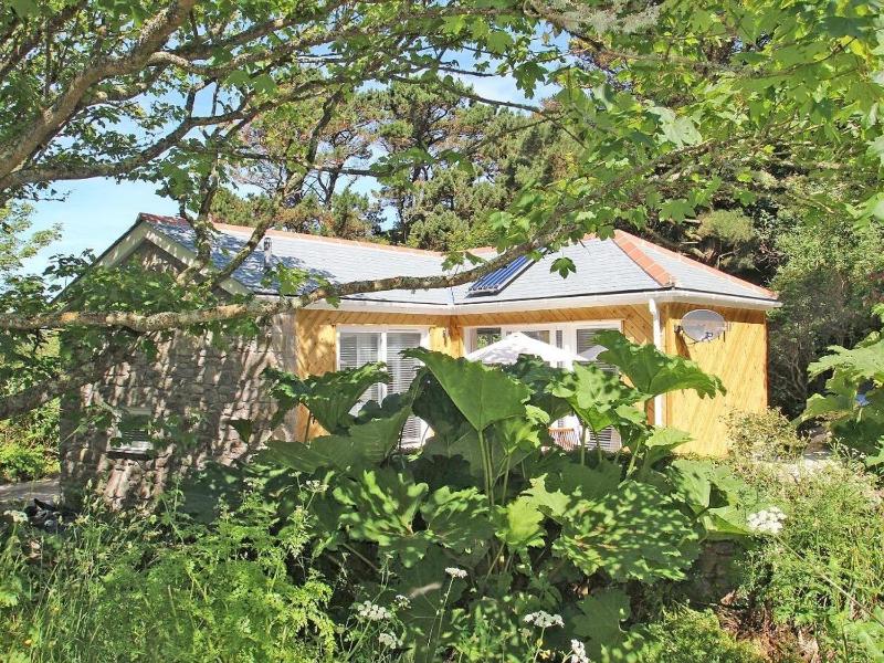 Cot Valley Cottage - image 18