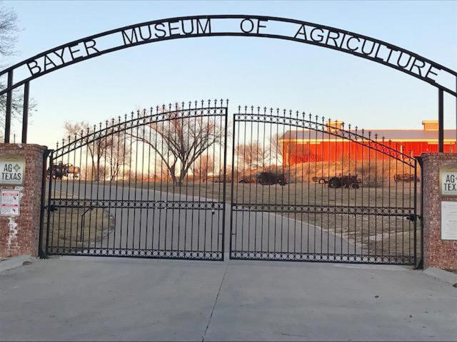Three-Bedroom House image 2