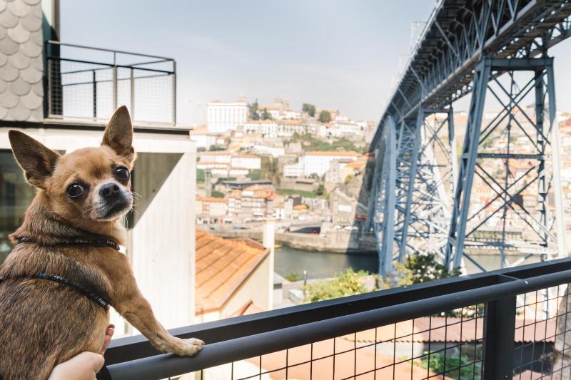 Oh! Porto Apartments - image 33