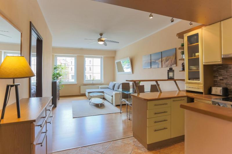 One-Bedroom Apartment image 3