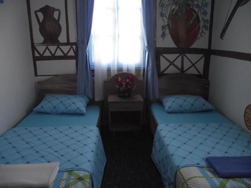 Double or Twin Room image 4