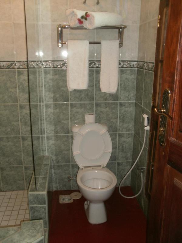 Asmini Palace Hotel - image 11
