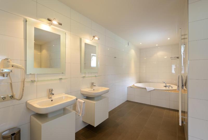 Deluxe King Suite image 2