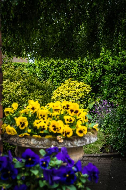 The Cottage Hotel - image 44