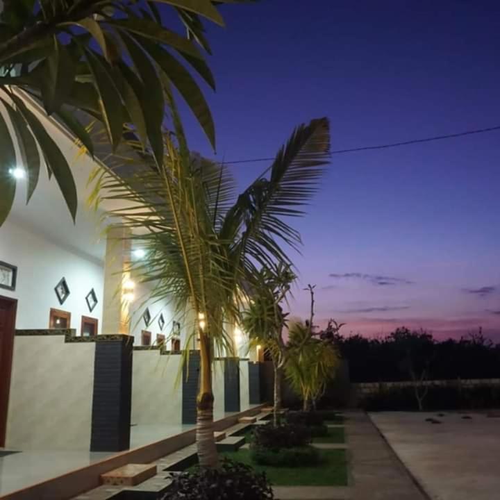 Ega Homestay - image 1