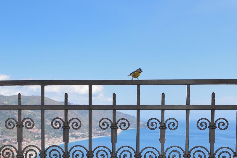 Superior Double with Sea View and Balcony image 3