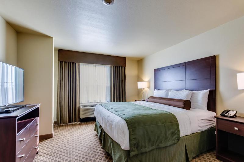 One-Bedroom Suite image 4