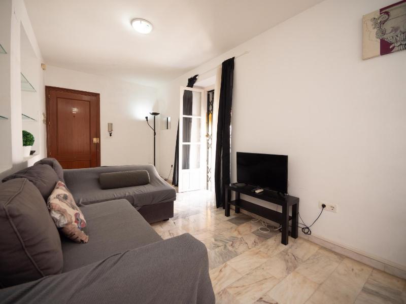 Apartamentos Arc House - image 4
