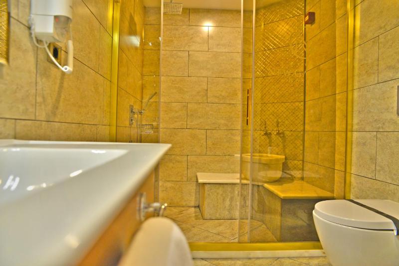 Large Single Room image 2