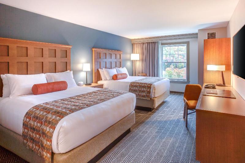 Accessible Mountain View Room image 4