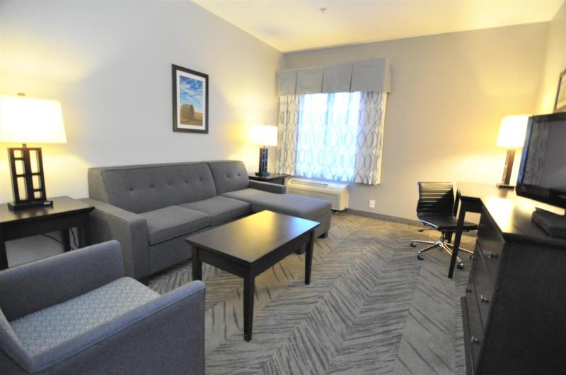 Deluxe King Suite image 2