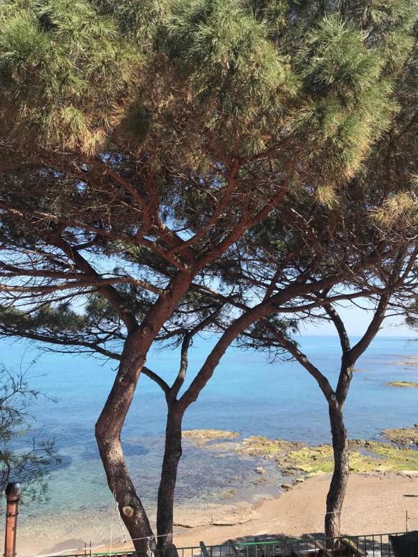 Le Terrazze sul Mare - Capo Aranciotto Beach - image 3