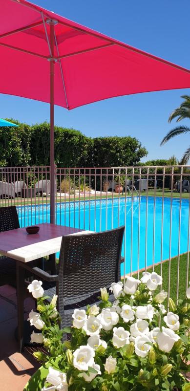 Hôtel Althea - Piscine et Sauna - image 23