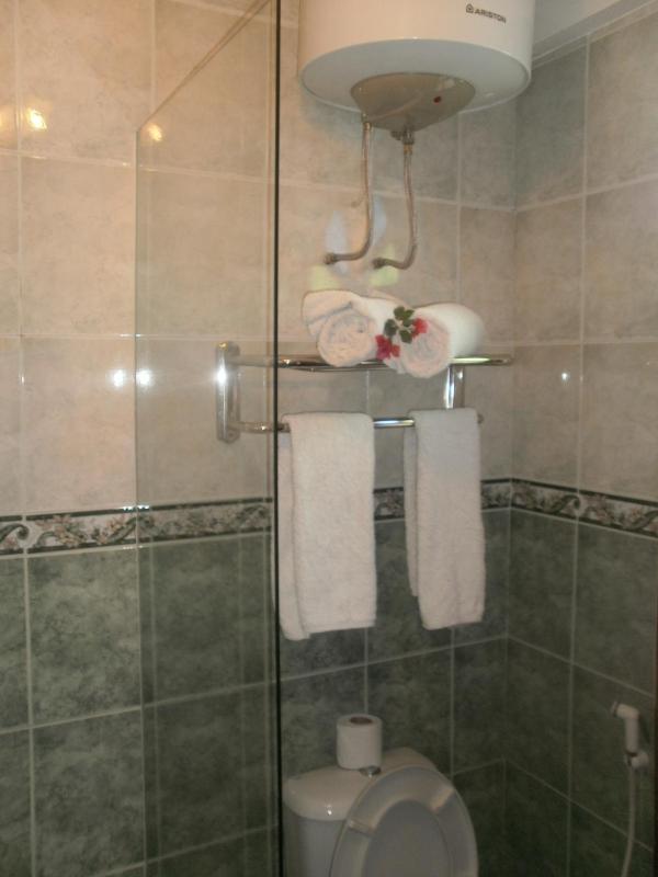 Asmini Palace Hotel - image 16