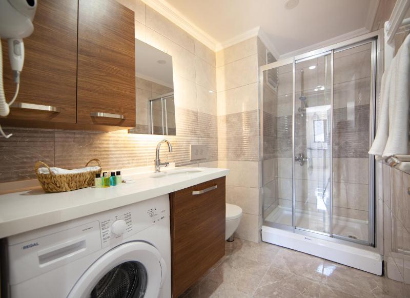 One-Bedroom Apartment with Balcony image 4